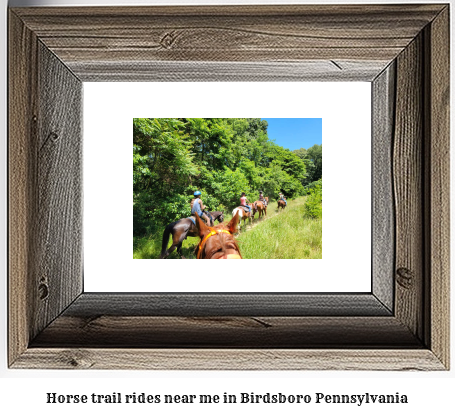 horse trail rides near me in Birdsboro, Pennsylvania